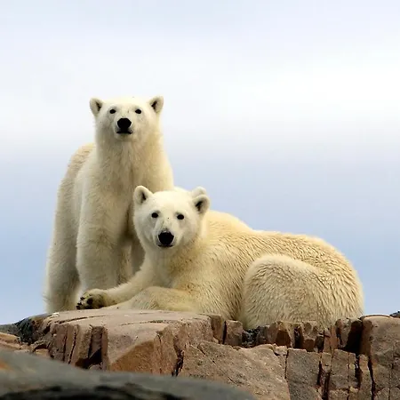 Radisson Blu Polar Hotel, Spitsbergen 4* Longyearbyen