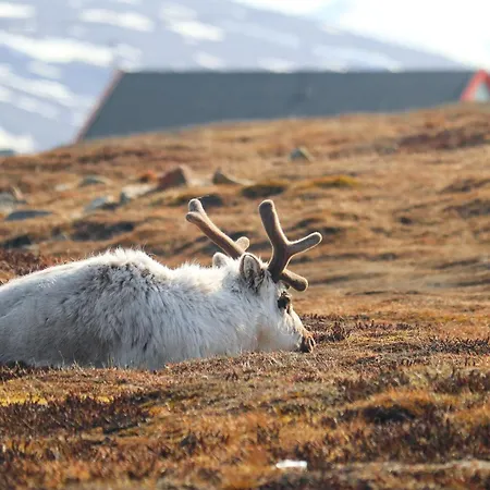Radisson Blu Polar Hotel, Spitsbergen Szálloda