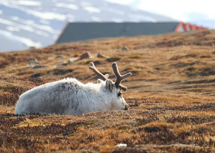 Radisson Blu Polar Hotel, Spitsbergen Hotel